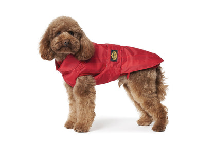 Fashion Dog Cappotto Impermeabile Foderato Con Imbottitura Staccabile Rosso per Cani e Cuccioli