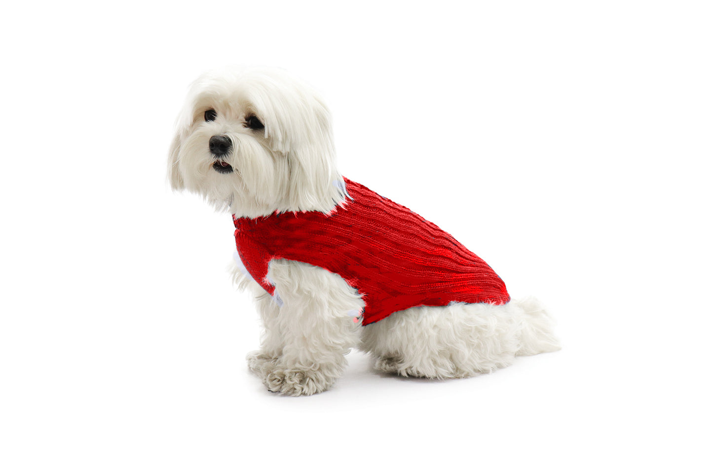 Fashion Dog Maglione Rosso per Cani e Cuccioli