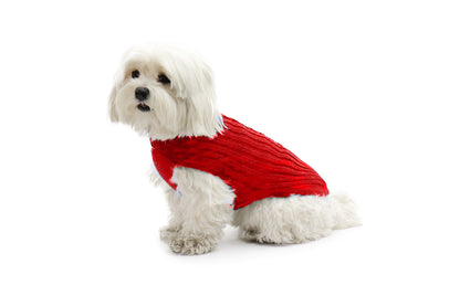 Fashion Dog Maglione Rosso per Cani e Cuccioli