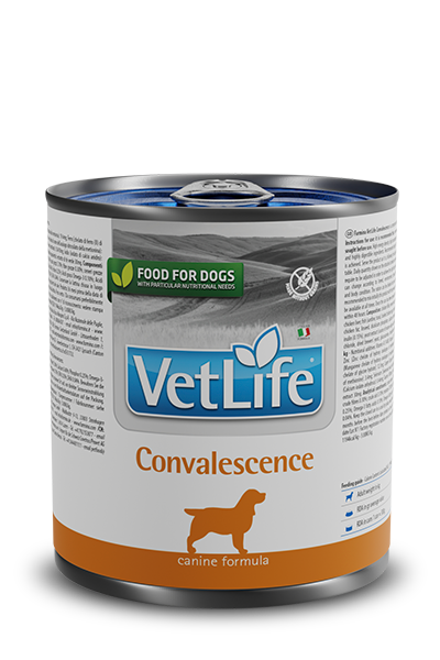 Farmina Vet Life Convalescence 300 Grammi Cibo Umido per Cani Adulti di Tutte le Taglie in Convalescenza - 6 Lattine