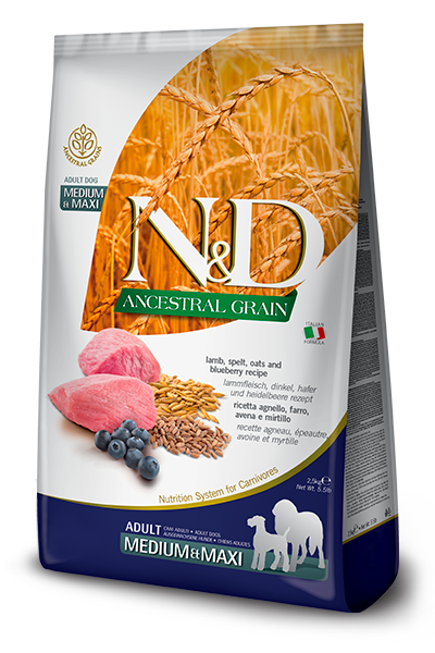 Farmina N&D Ancestral Grain Agnello Mirtilli Cereali Adult Medio e Maxi 12 kg Per Cani Adulti Taglia Media e Grande