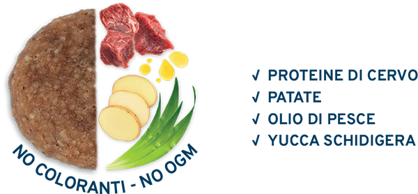 Forza 10 Maxi Mantenimento Cervo con Patate Cibo Secco per Cani Adulti Taglia Grande