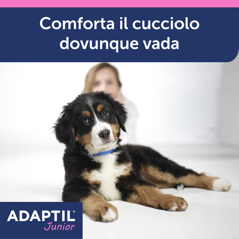 Adaptil Junior Ceva Vetem Collare Per Cuccioli - Durata 30 Giorni