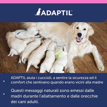 Adaptil Junior Ceva Vetem Collare Per Cuccioli - Durata 30 Giorni