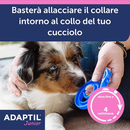 Adaptil Junior Ceva Vetem Collare Per Cuccioli - Durata 30 Giorni