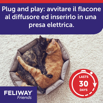 Feliway Friends Ceva Vetem Ricarica Per Gatti e Gattini - Durata 30 Giorni