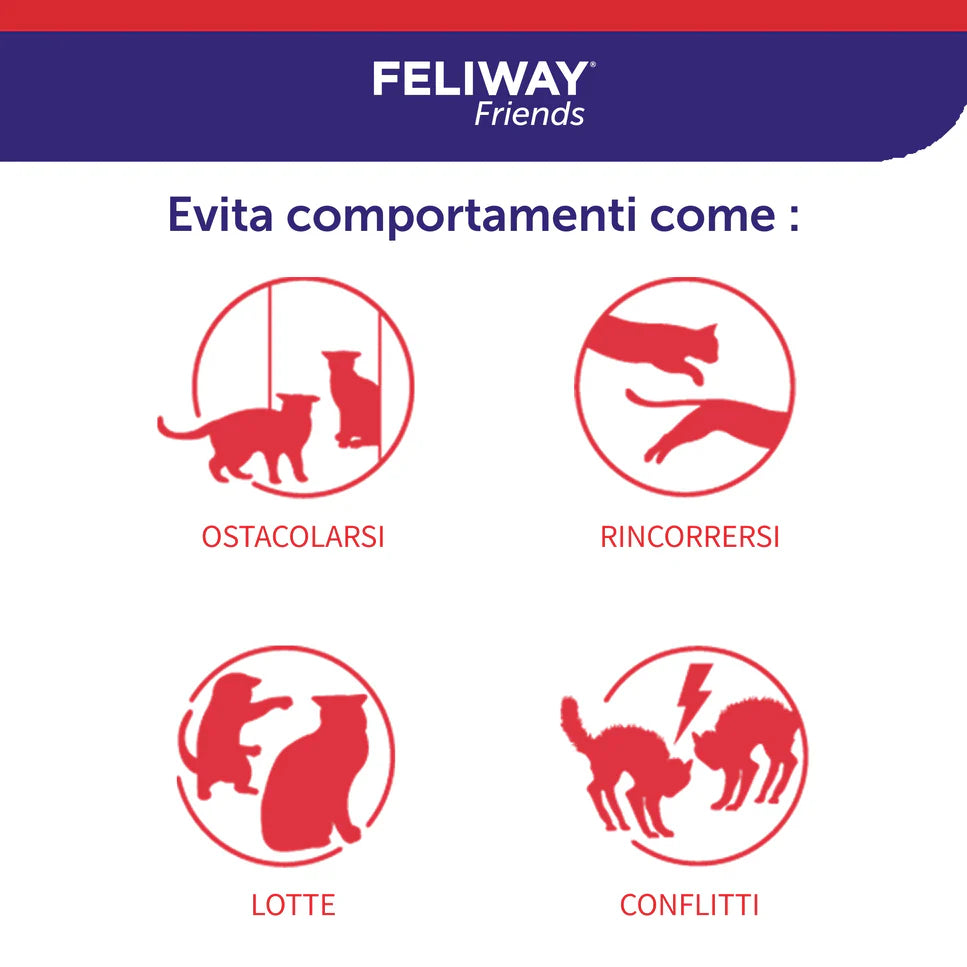 Feliway Friends Ceva Vetem Ricarica Per Gatti e Gattini - Durata 30 Giorni