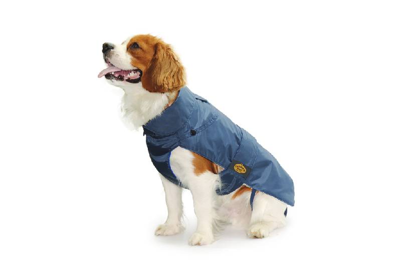 Fashion Dog Cappotto Impermeabile Blu per Cani