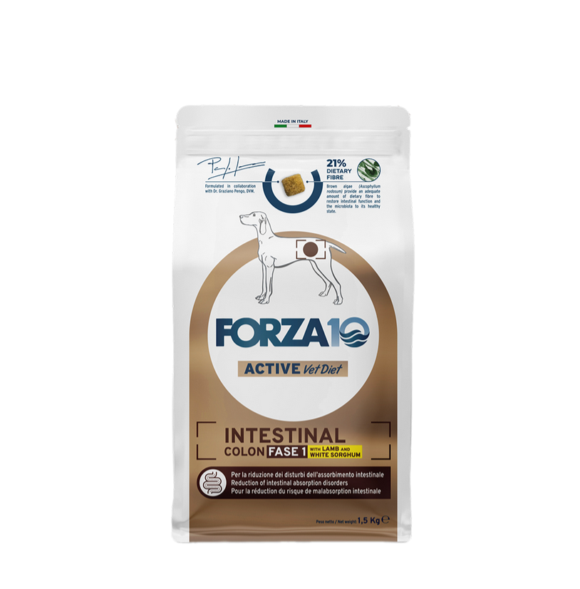 Forza 10 Intestinal Colon Fase 1 con Sorgo Bianco e Agnello Cibo Secco per Cani Adulti con Problemi Intestinali