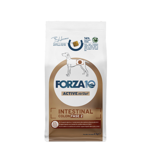 Forza 10 Intestinal Colon Fase 2 Cibo secco per Cani Adulti con Problemi Intestinali