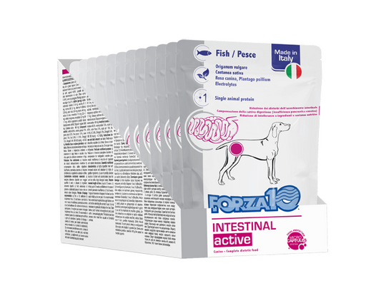 Forza 10 Intestinal Active 100 Grammi Cibo Umido per Cani Adulti con Problemi Intestinali - 12 bustine