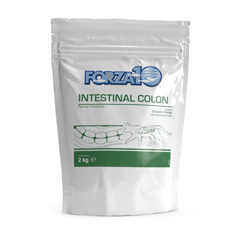 Forza 10 Intestinal Colon 1,5 kg Cibo Secco per Gatti Adulti con Problemi Intestinali