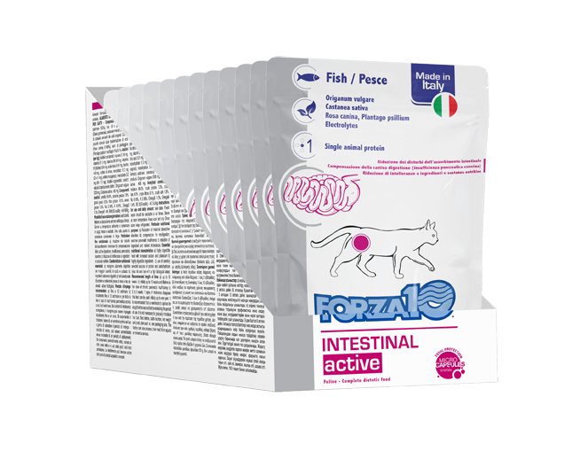 Forza 10 Intestinal Active Pesce 100 Grammi Cibo Umido per Gatti Adulti con Problemi Intestinali - 12 bustine