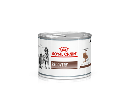 Royal Canin Recovery Cibo Umido Per Cani e Gatti - 6 Lattine 195 Grammi