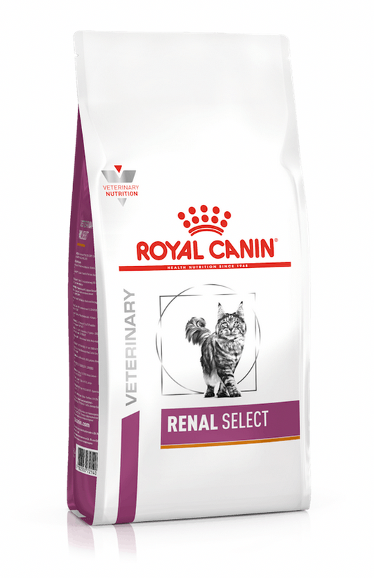 Royal Canin Renal Select Crocchette Per Gatti Adulti Con Problemi Renali