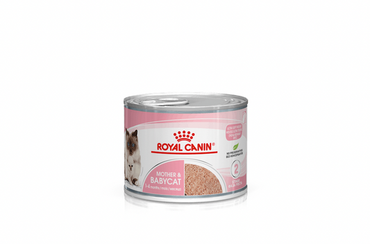 Royal Canin Mother & Babycat mousse ultra soffice Cibo Umido Per Gattini - 6 Lattine 195 Grammi