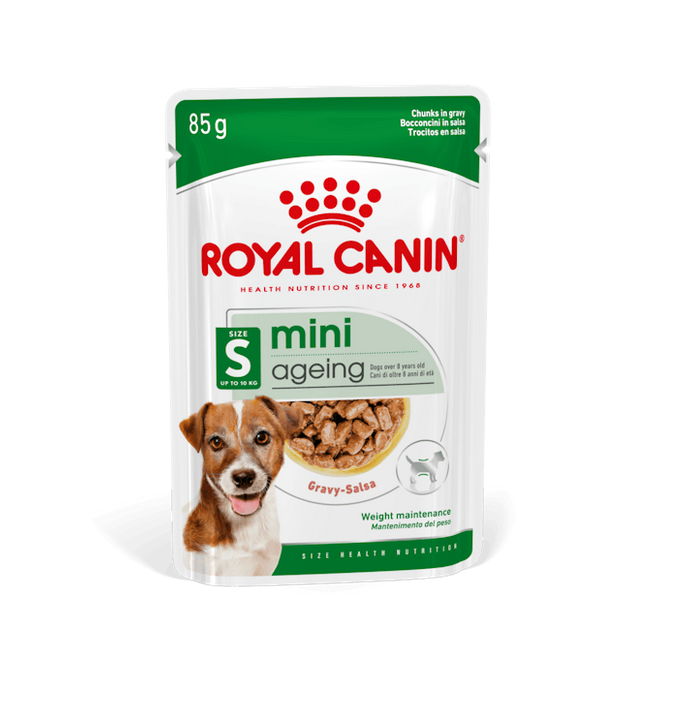 Royal Canin Mini Ageing 12+ Cibo Umido Per Cani Anziano - 12 bustine 85 Grammi