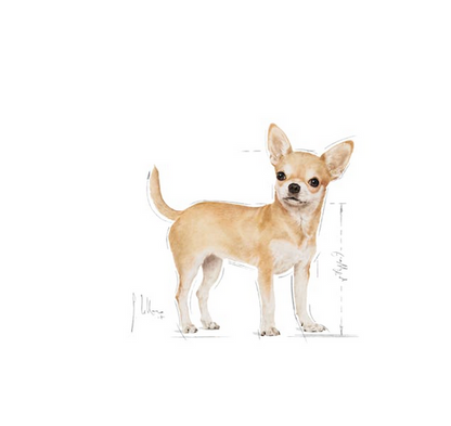 Royal Canin Chihuahua Adult 1,5 kg Crocchette Per Cani Adulti