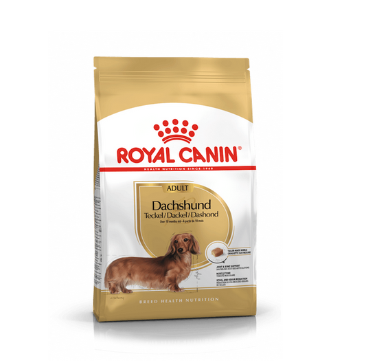 Royal Canin Bassotto Adult Crocchette Per Cani Adulti e Maturi