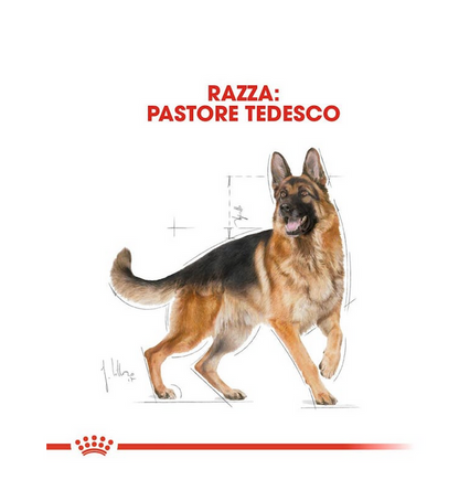 Royal Canin Pastore Tedesco Adulto Crocchette Per Cani Adulti 11 kg