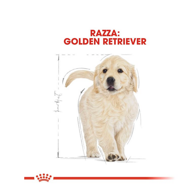 Royal Canin Gloden Retrivier Puppy Crocchette Per Cuccioli