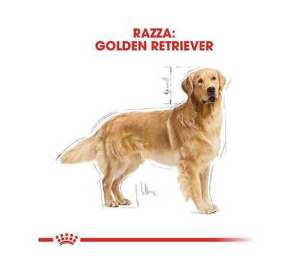 Royal Canin Golden Retrivier Adult Crocchette Per Cani Adulti e Maturi