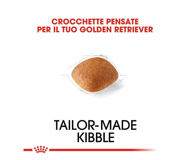 Royal Canin Golden Retrivier Adult Crocchette Per Cani Adulti e Maturi