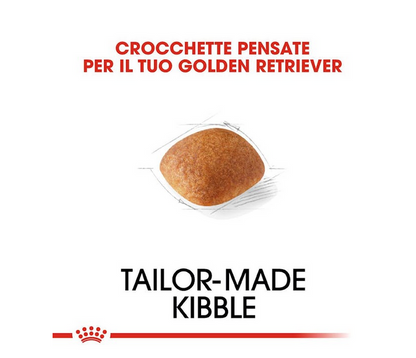 Royal Canin Golden Retrivier Adult Crocchette Per Cani Adulti e Maturi