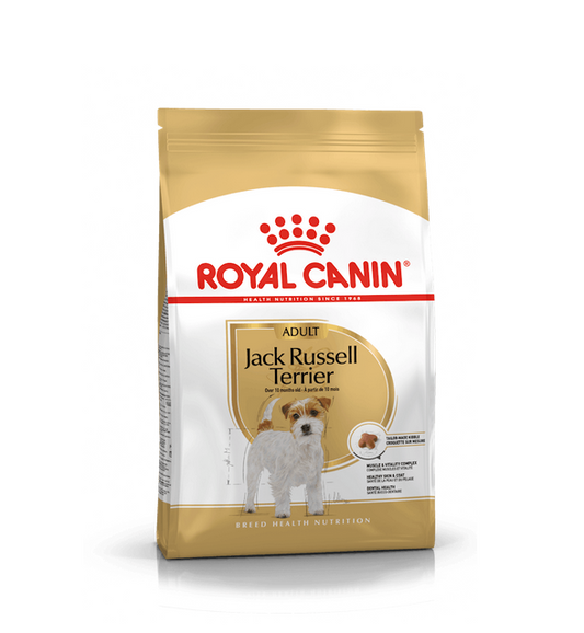 Royal Canin Jack Russel Terrier Adult 3 kg Crocchette Per Cani Adulti e Maturi