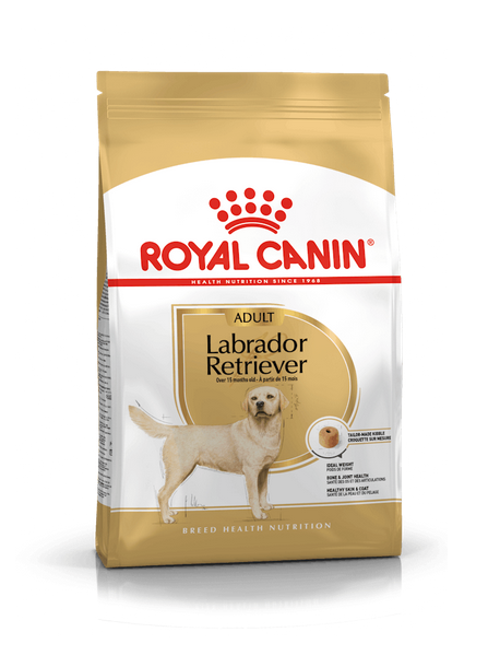 Royal Canin Labrador Retrivier Adult Crocchette Per Cani Adulti e Maturi