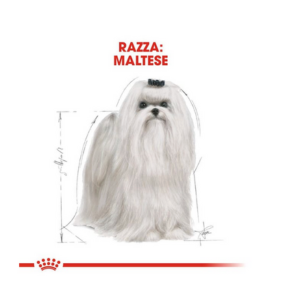 Royal Canin Maltese Adult 1,5 kg Crocchette Per Cani Adulti e Maturi