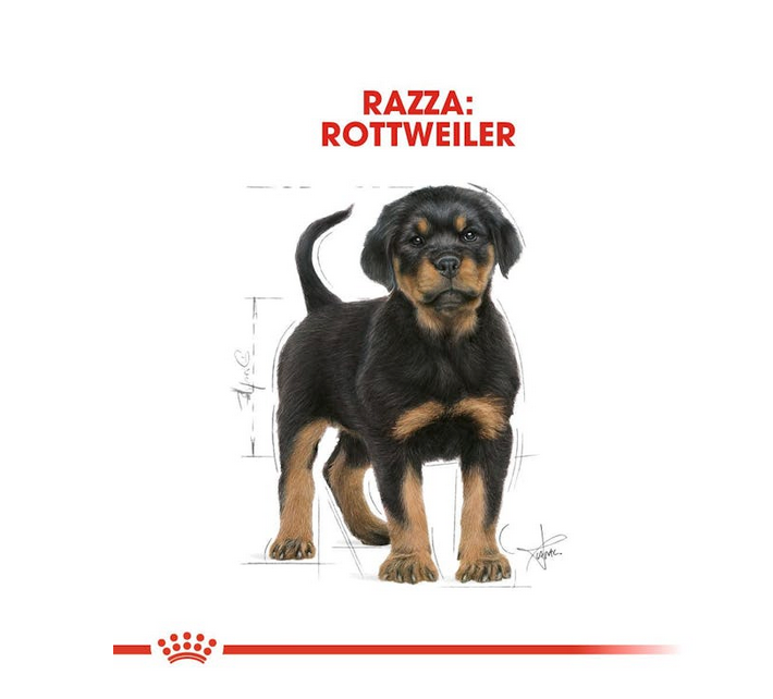 Royal Canin Rottweiler Puppy 12 kg Crocchette Per Cuccioli