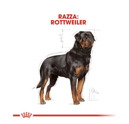 Royal Canin Rottweiler Adult 12 kg Crocchette Per Cani Adulti e Maturi