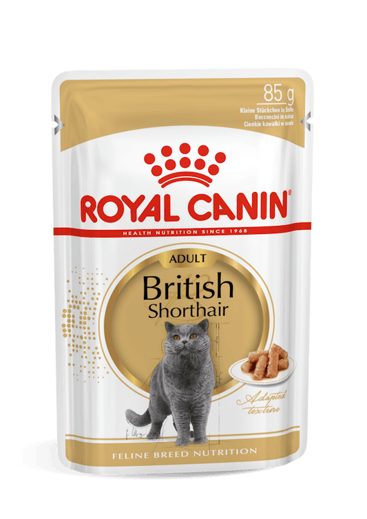 Royal Canin British Shorthair 85 Grammi Cibo Umido per Gatti Adulti - 12 bustine