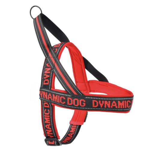 Camon Pettorina Dynamic Dog Rossa e Nera