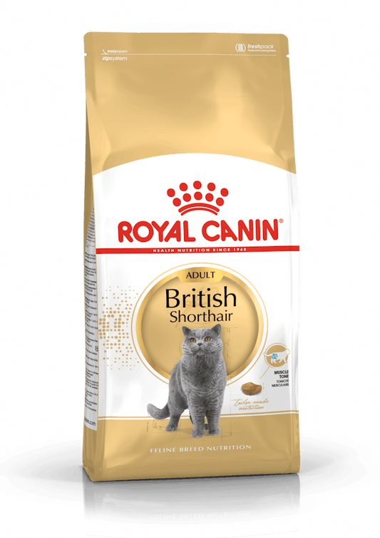 Royal Canin British Shorthair 2 Kg Cibo Secco per Gatti