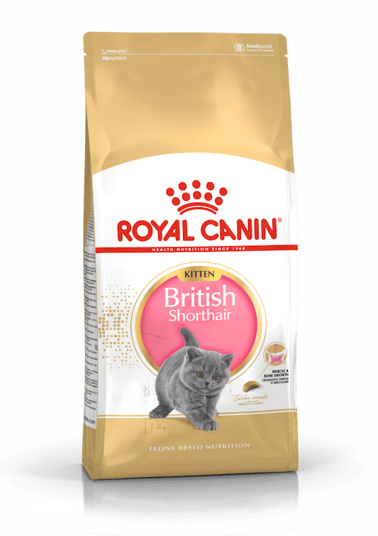 Royal Canin Kitten British Shorthair 2 Kg  Cibo Secco per Gattini