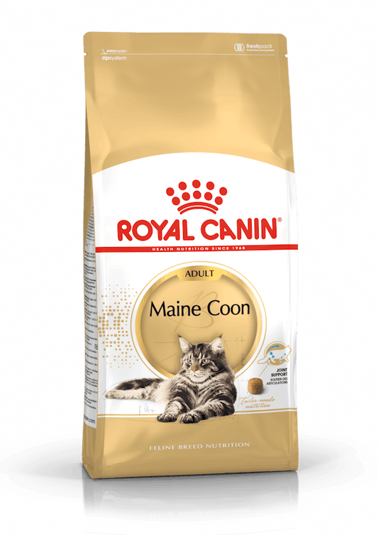 Royal Canin Maine Coon Cibo Secco per Gatti Adulti