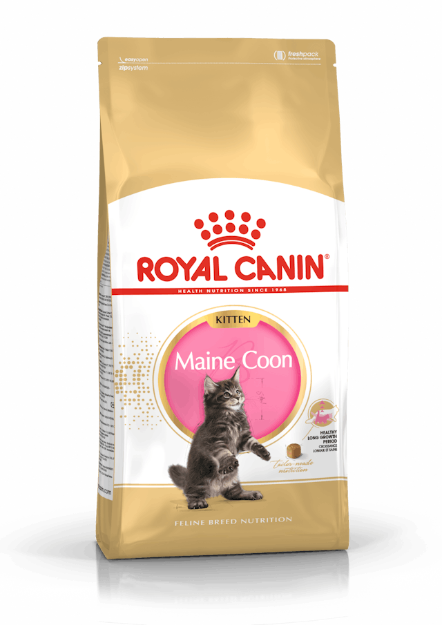 Royal Canin Kitten Maine Coon Cibo Secco per Gattini