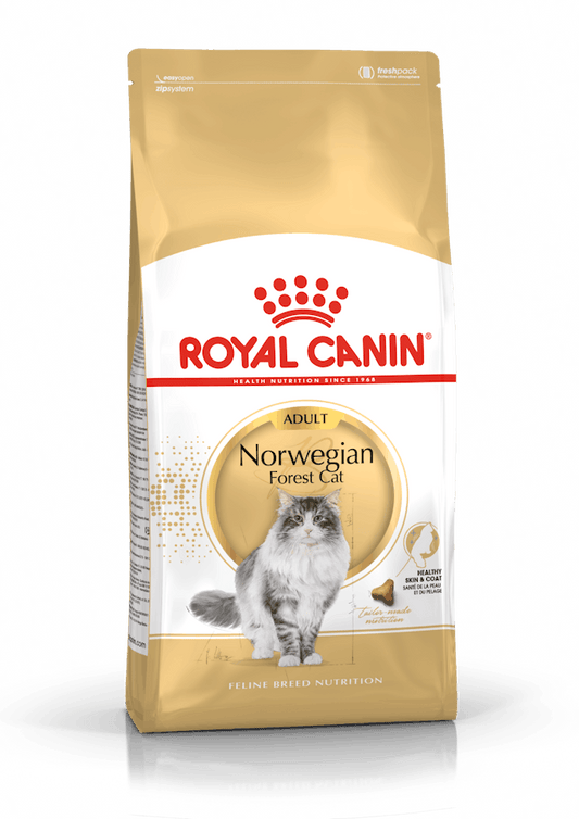 Royal Canin Norwegian Forest Cat 2 Kg Cibo Secco per Gatti Adulti