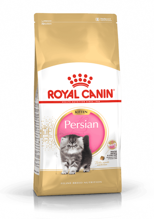 Royal Canin Kitten Persian Cibo Secco per Gattini