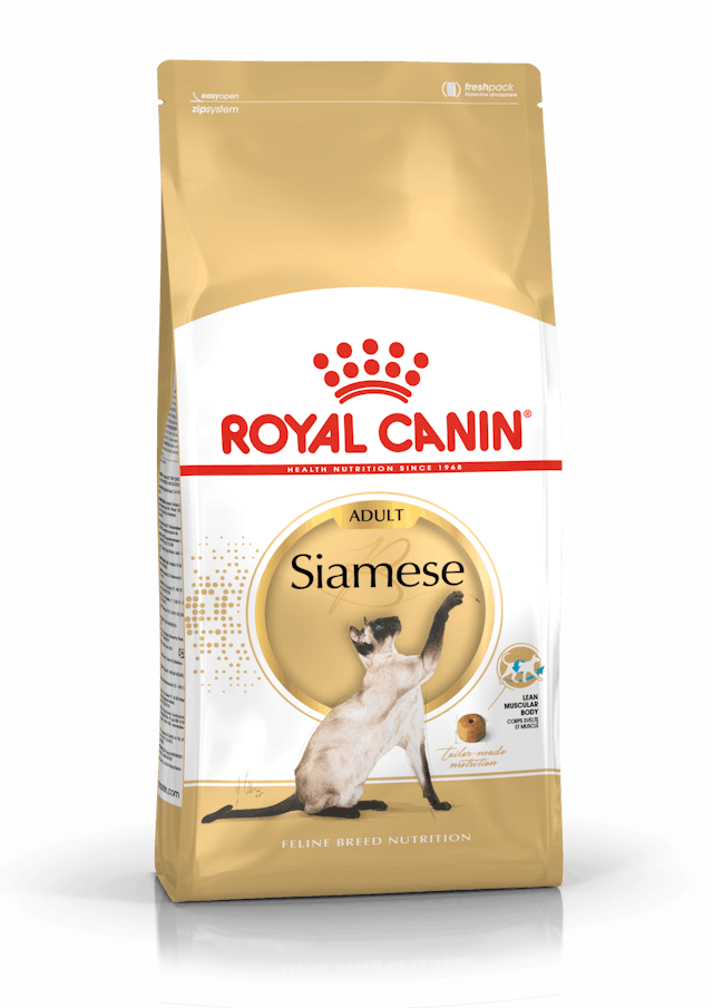 Royal Canin Siamese 2 Kg Cibo Secco per Gatti Adulti