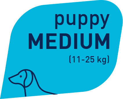 Prolife Smart Puppy Pollo e Riso Medium Per Cuccioli Taglia Media