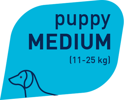 Prolife Smart Puppy Pollo e Riso Medium Per Cuccioli Taglia Media