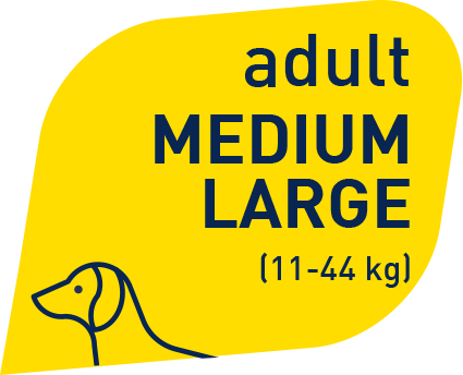 Prolife Smart Adult Pollo e Riso Medium Large Per Cani Adulti