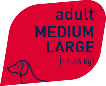 Prolife Smart Adult Manzo e Riso Medium Large Per Cani Adulti