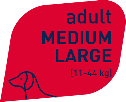 Prolife Smart Adult Manzo e Riso Medium Large Per Cani Adulti