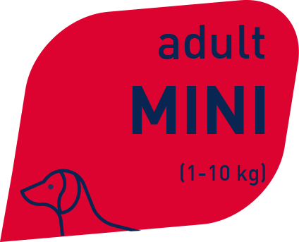 Prolife Smart Adult Manzo e Riso Small Per Cani Adulti Taglia Piccola