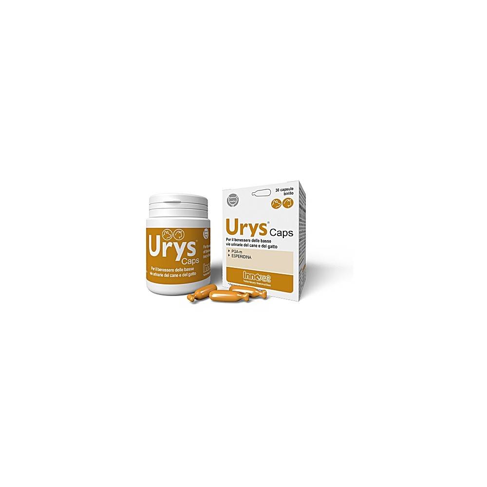 Innovet Urys Caps 30 Compresse Vie urinarie Di Cani e Gatti