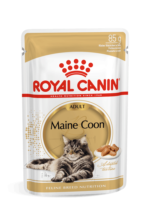 Royal Canin Maine Coon 85 Grammi Cibo Umido per Gatti Adulti - 12 bustine